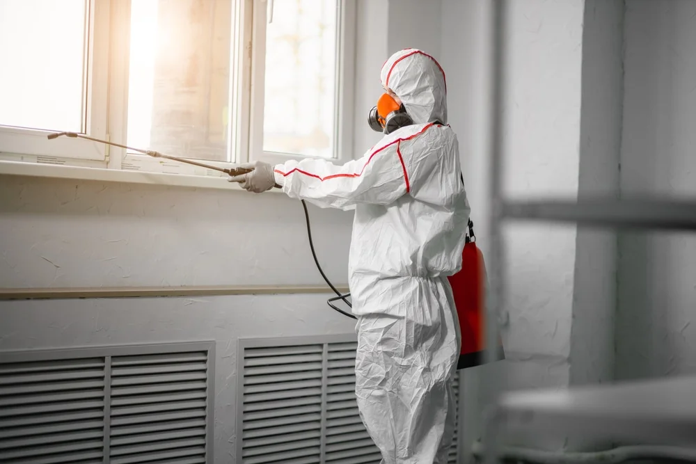 Professional mold remediation services in Passaic, NJ